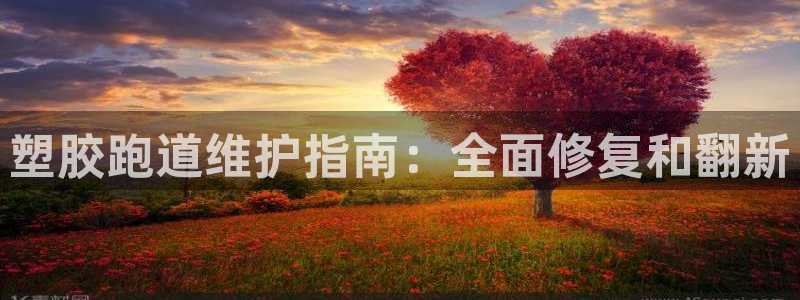 红足一1世：塑胶跑道维护指南：全面修复和翻新