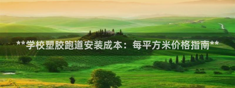 红世一足球比分：**学校塑胶跑道安装成本：每平方米价格指南**