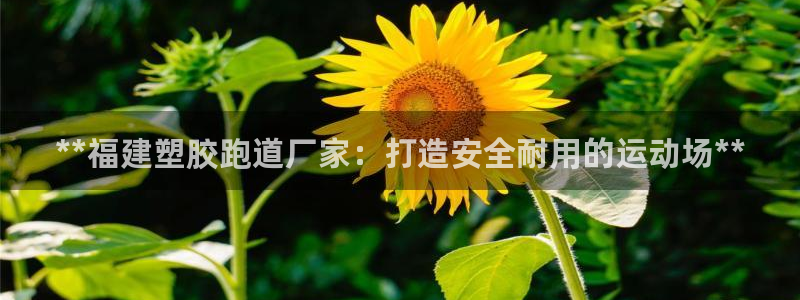 红足1世手足球比分：**福建塑胶跑道厂家：打造安全耐用的运动场**