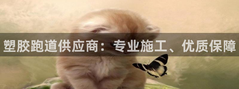红足一1世66814新宝