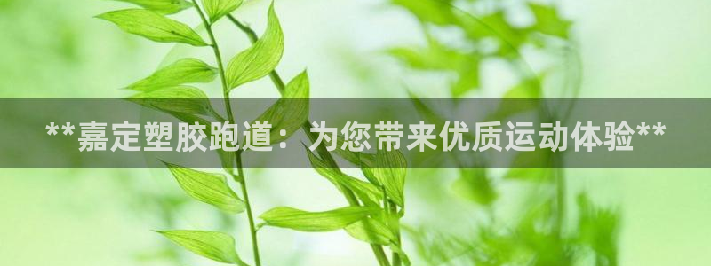 百度红足一1是干什么的