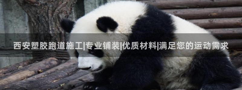 红足1世手足球比分：西安塑胶跑道施工|专业铺装|优质材料|满足您的运动需求