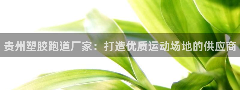 666814红·足一世比分：贵州塑胶跑道厂家：打造优质运动场地的供应商