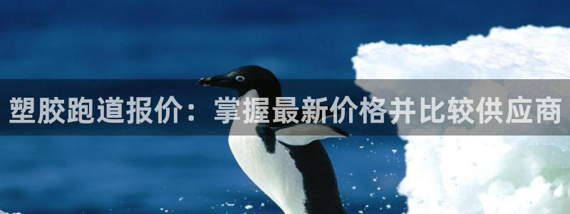 红足1一世开奖版：塑胶跑道报价：掌握最新价格并比较供应商