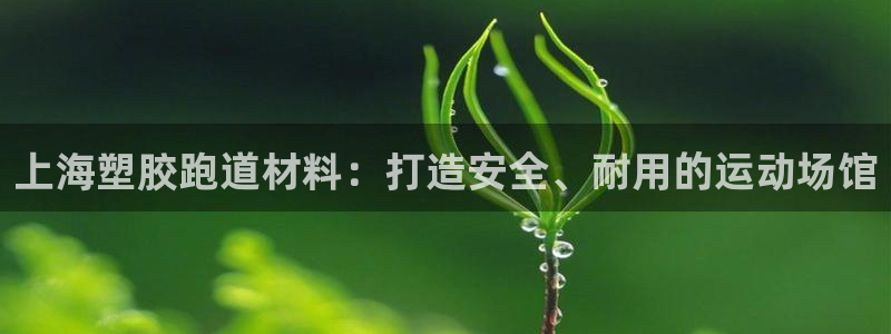 红足一生世：上海塑胶跑道材料：打造安全、耐用的运动场馆
