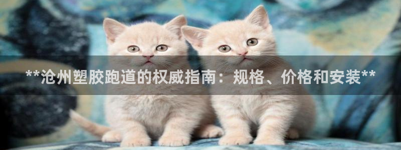 红足一比分网