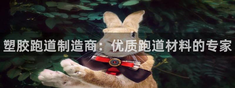 红足足球网