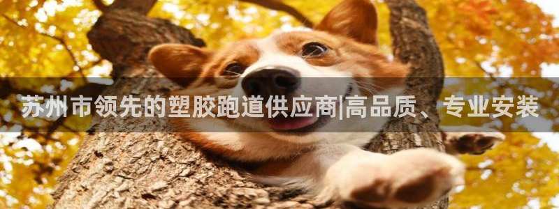红足一1世66814：苏州市领先的塑胶跑道供应商|高品质、专业安装