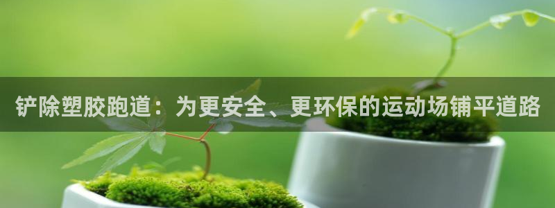 红足体育网：铲除塑胶跑道：为更安全、更环保的运动场铺平道路