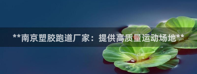 百度红足一1是什么样子的