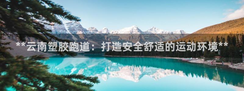 红足一生世：**云南塑胶跑道：打造安全舒适的运动环境**
