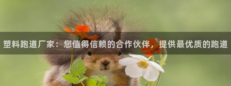 红足1一世