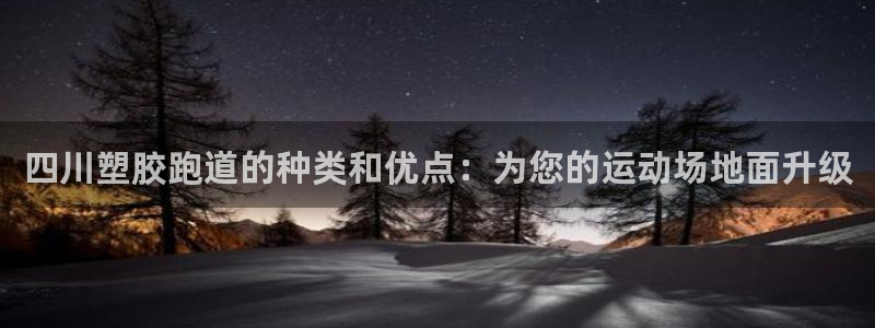 66814红足：四川塑胶跑道的种类和优点：为您的运动场地面升级