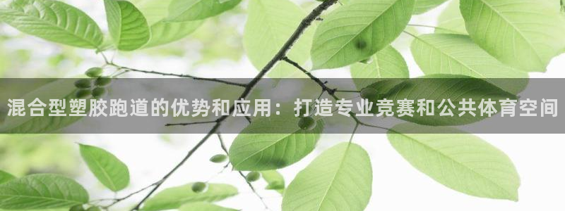 红足网足球直播：混合型塑胶跑道的优势和应用：打造专业竞赛和公共体育空间