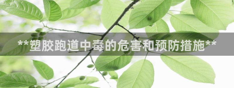 777814红·足一世比分篮球：**塑胶跑道中毒的危害和预防措施**