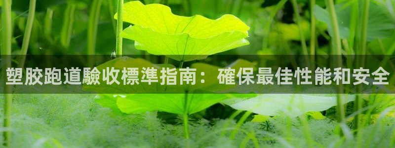红足1世官网：塑胶跑道驗收標準指南：確保最佳性能和安全