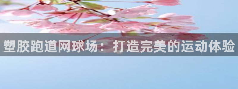 百度红足一1世：塑胶跑道网球场：打造完美的运动体验