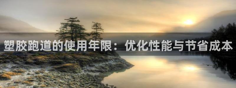 44814红足：塑胶跑道的使用年限：优化性能与节省成本