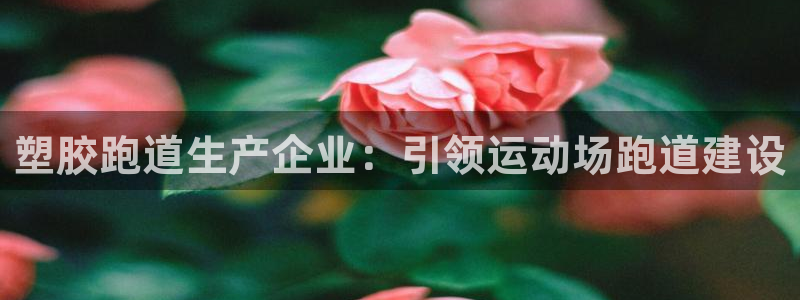红足一1世比分网：塑胶跑道生产企业：引领运动场跑道建设