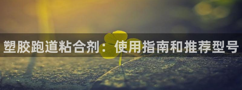 红足i世足球手机网