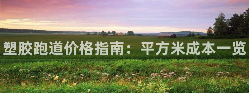 777814红·足一世比分篮球：塑胶跑道价格指南：平方米成本一览