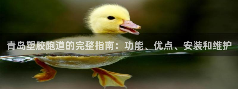 百度红足一1是什么样子的：青岛塑胶跑道的完整指南：功能、优点、安装和维护