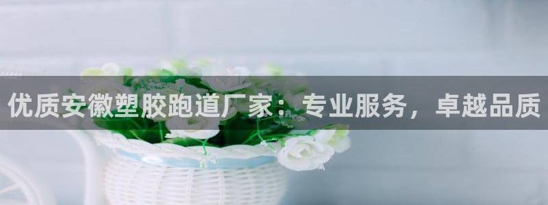 4633333开奖结果4176一点红：优质安徽塑胶跑道厂家：专业服务，卓越品质