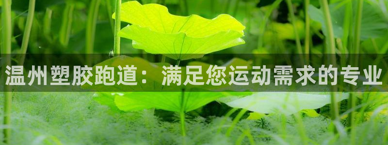 333814红·足一世比分