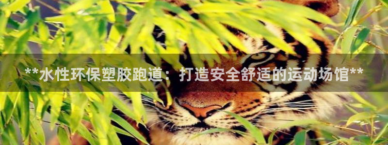 4633333开奖结果4176一点红：**水性环保塑胶跑道：打造安全舒适的运动场馆**