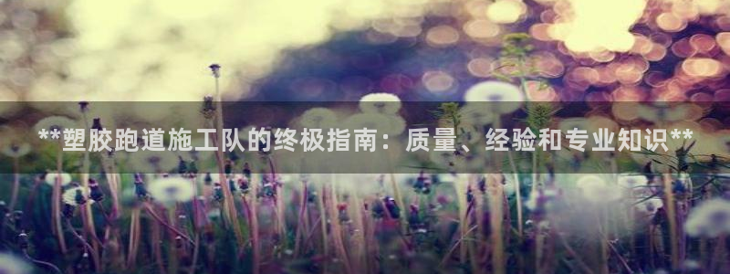 红足一：**塑胶跑道施工队的终极指南：质量、经验和专业知识**