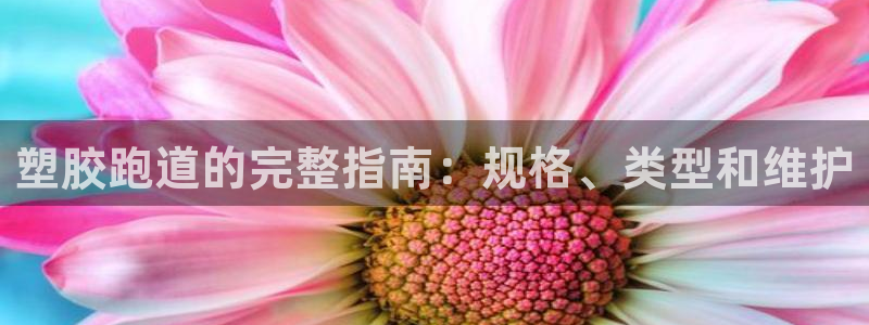 红足体育网：塑胶跑道的完整指南：规格、类型和维护