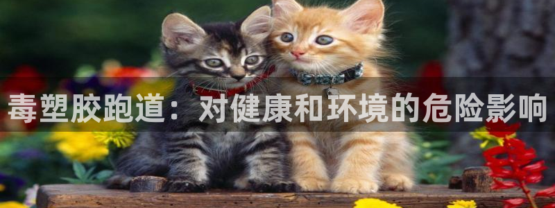 红足一1世官网比分：毒塑胶跑道：对健康和环境的危险影响