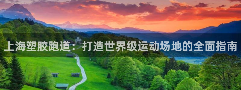 红足 世足球手机网：上海塑胶跑道：打造世界级运动场地的全面指南