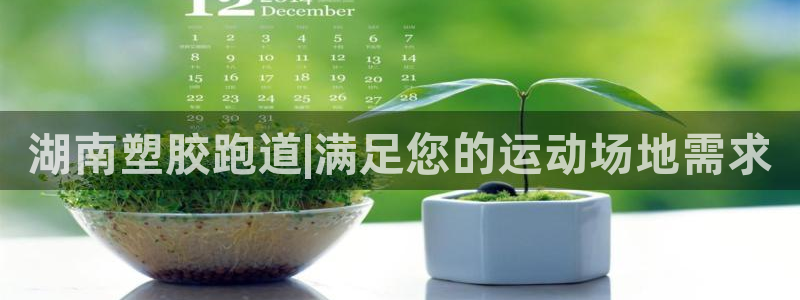 333814红足1世：湖南塑胶跑道|满足您的运动场地需求