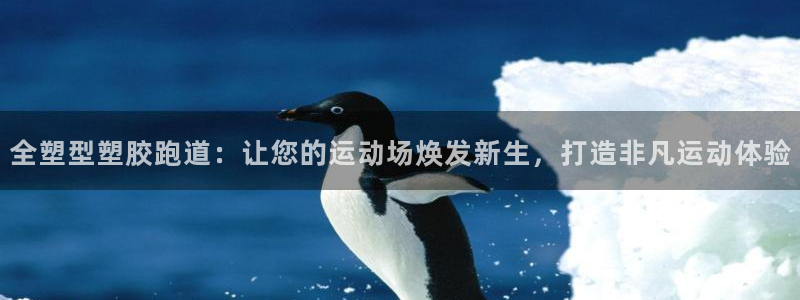 66814红足：全塑型塑胶跑道：让您的运动场焕发新生，打造非凡运动体验