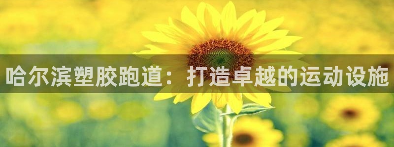 红足1世官网：哈尔滨塑胶跑道：打造卓越的运动设施
