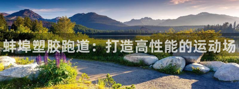 新2足球平台出租网站：蚌埠塑胶跑道：打造高性能的运动场