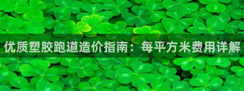 百度红足一1是干什么的：优质塑胶跑道造价指南：每平方米费用详解