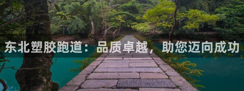 777814红·足一世比分：东北塑胶跑道：品质卓越，助您迈向成功