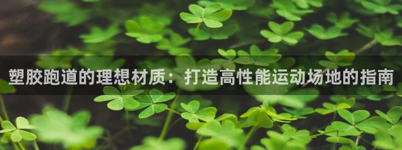 55814红足1世：塑胶跑道的理想材质：打造高性能运动场地的指南
