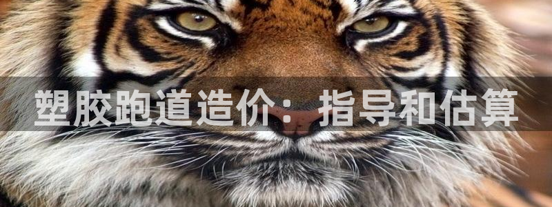 红足一1世开奖记录：塑胶跑道造价：指导和估算