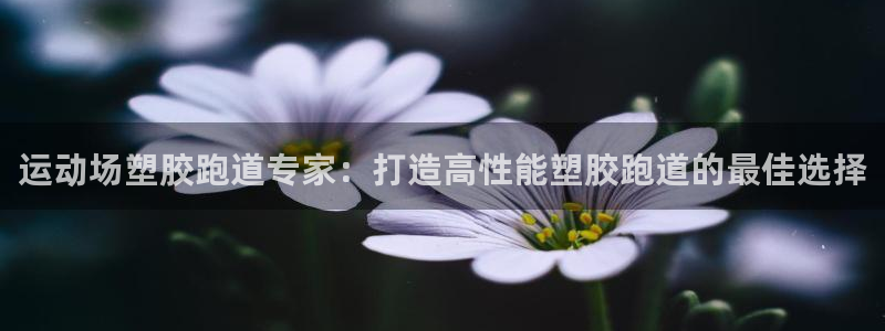 百度红足一1是为什么：运动场塑胶跑道专家：打造高性能塑胶跑道的最佳选择