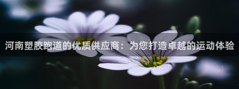 红足一1世666814足球：河南塑胶跑道的优质供应商：为您打造卓越的运动体验