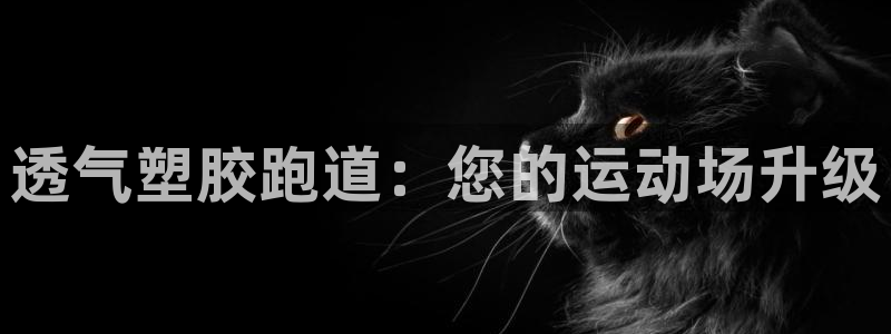 红足1世1站：透气塑胶跑道：您的运动场升级