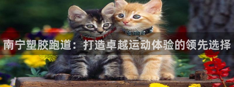 333814红·足一世比分：南宁塑胶跑道：打造卓越运动体验的领先选择