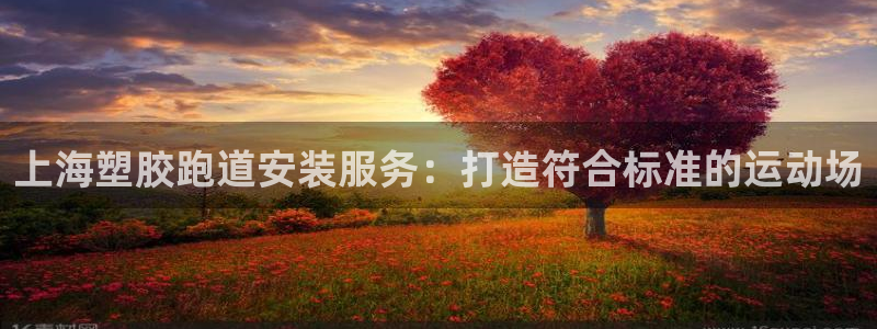 红足一1世比分球探：上海塑胶跑道安装服务：打造符合标准的运动场
