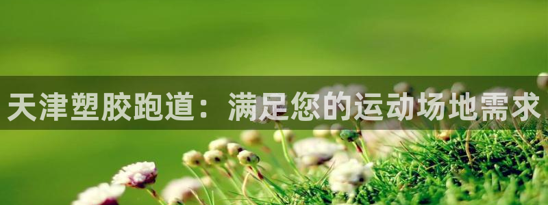 红足1一世红：天津塑胶跑道：满足您的运动场地需求
