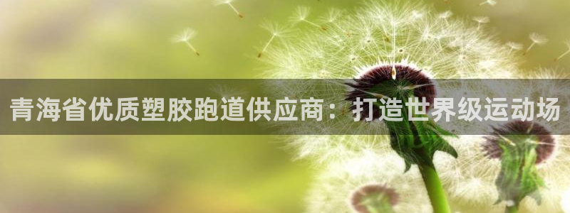 红足一1世手机开奖：青海省优质塑胶跑道供应商：打造世界级运动场