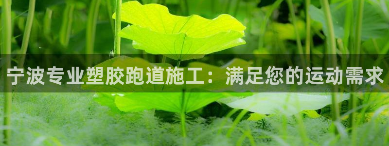 红足一1世：宁波专业塑胶跑道施工：满足您的运动需求