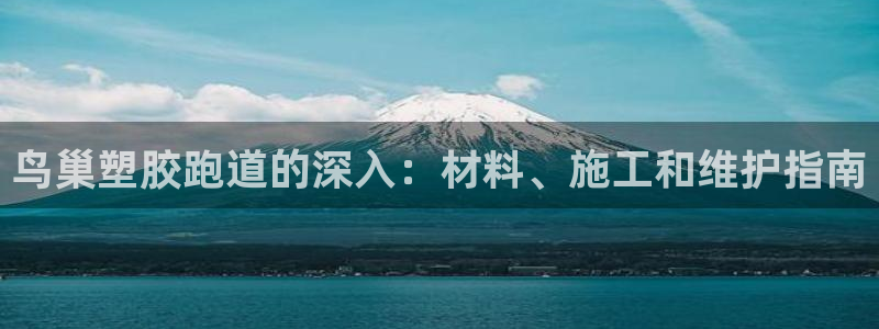 百度红足一1是什么样子的：鸟巢塑胶跑道的深入：材料、施工和维护指南